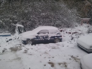 IMG_20121027_175713.jpg